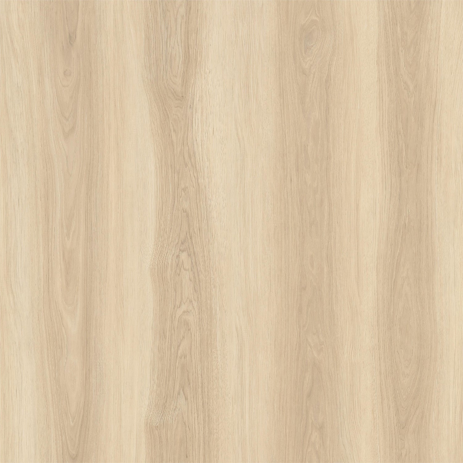 Sapling Rigid Core SPC Flooring with Unilin Click 7